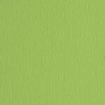 Fabriano Hamer 70x50/220gr Verde