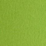 Fabriano Hamer 70x50/220gr Verde P.